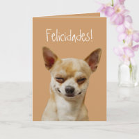 Cachorro Chihuahua engraçado para personalizar par