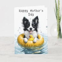 Cachorro Collie Fofo Nadando CV6 Mãe Personalizada