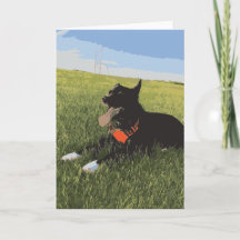 Cachorro Com Língua Exposta No Campo