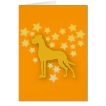 Cachorro como Estrelas