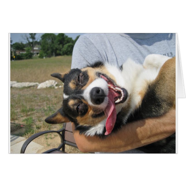 Cartão Cachorro Corgi Sorridente (Frente Horizontal)