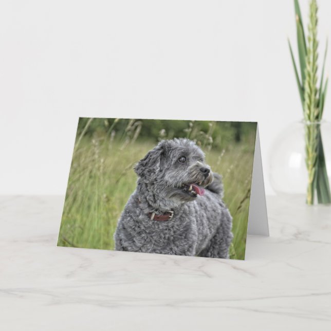 Cartão Cachorro Cortado Terrier (Frente)