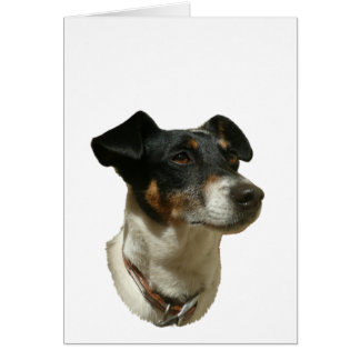 Cartão Cachorro Cute Jack Russell
