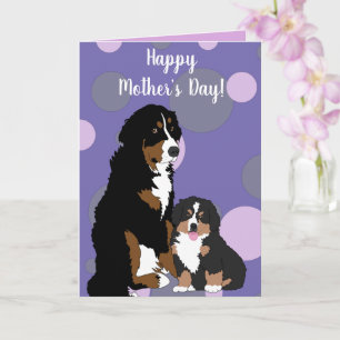 Cartão Cachorro da Montanha Bernese