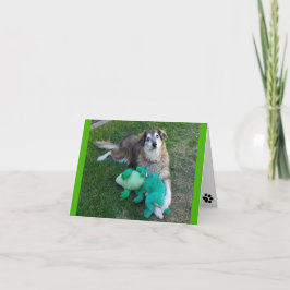 Cartão Cachorro da placa de nota de vazio com Sapos