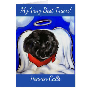 Cartão Cachorro da Terra Nova