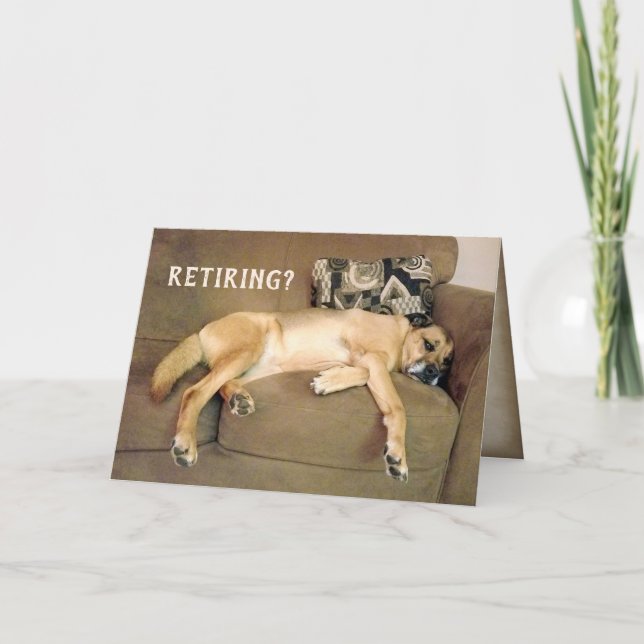 Cartão Cachorro De Caça De Aposentação No Soquete (Frente)