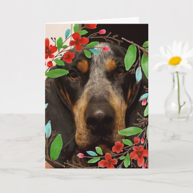 Cartão Cachorro de Connhound Bluetick/ Foto de Pet (Planta pequena)