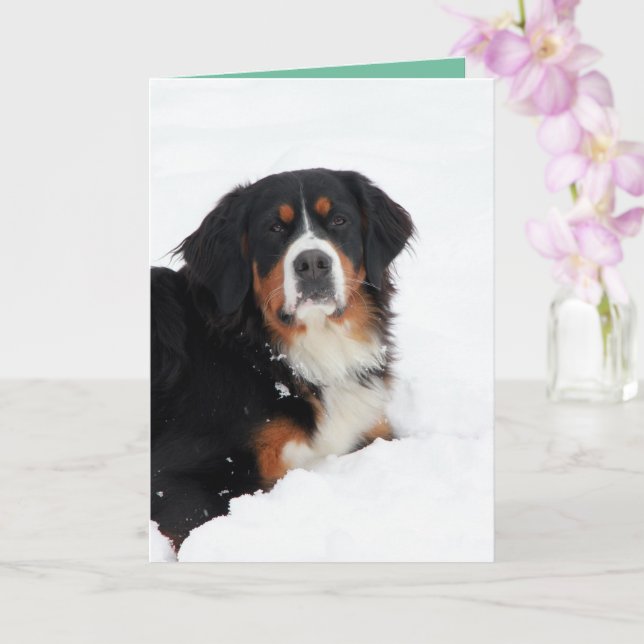 Cartão Cachorro de Montanha Bernese Personalizável (Orquídea)