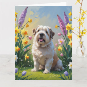 Cartão Cachorro de Pastoreio Inglês Antigo Pintura de Flo