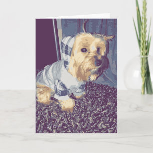 Cartão Cachorro De Yorkie Bonito Vestindo Um Cachorro De