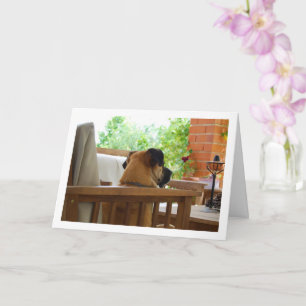 Cartão Cachorro Descansado no Retrato da Cadeira