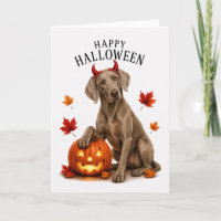 Cachorro Diabo de Halloween Weimaraner