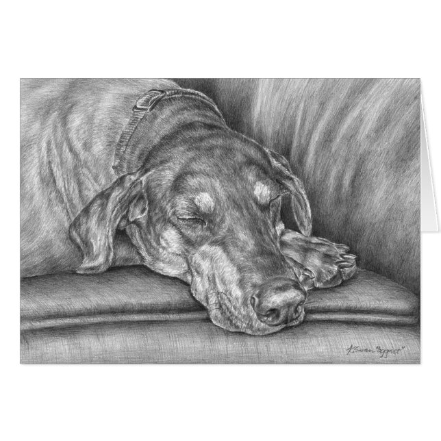 Cartão Cachorro Doberman Dormindo Desenho por Kelli Swan (Frente horizontal)