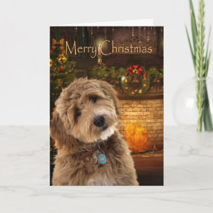 Cartão Cachorro Doodle Natal