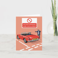 Cachorro Dotty Sem Inversão, Idade Incluída Carro 