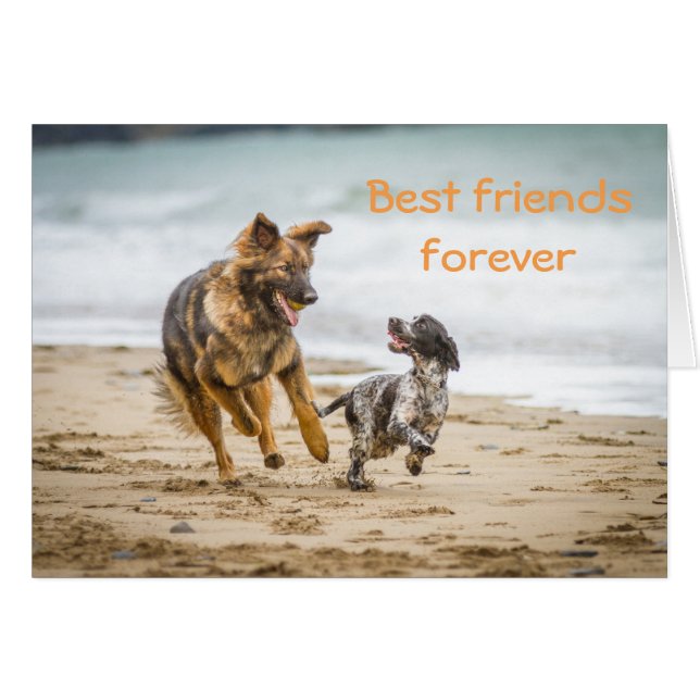 Cartão Cachorro e Cockerspaniel do German shepherd da pla (Frente Horizontal)