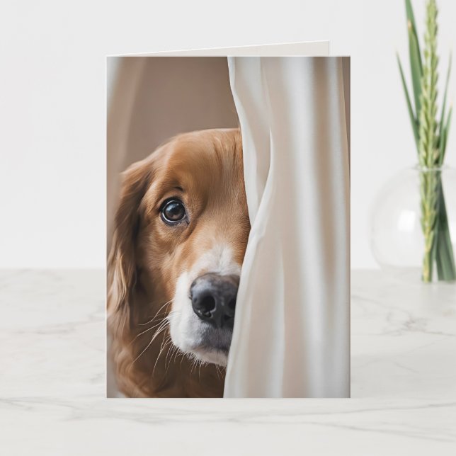 Cartão Cachorro Em Cortinas Para Perder Você (Frente)