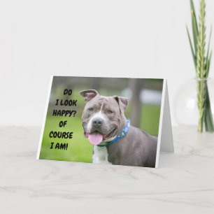 CARTÃO *CACHORRO EMPOLGADO ENVIA PARABÉNS PARA VOCÊ*