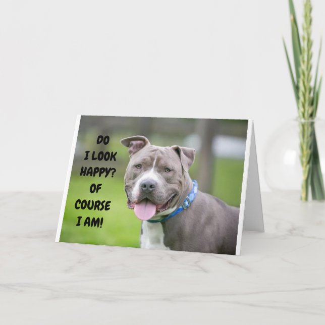 CARTÃO *CACHORRO EMPOLGADO ENVIA PARABÉNS PARA VOCÊ* (Frente)