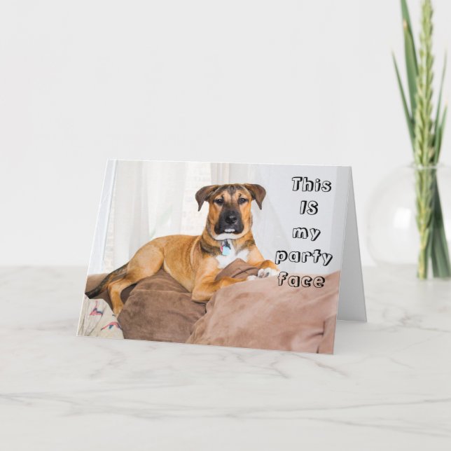 Cartão Cachorro Engraçado Este é o meu rosto de festa Ani (Frente)