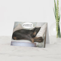 Cachorro engraçado fica bem caralho