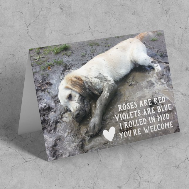 Cartão Cachorro Engraçado Memória Dia de os namorados (Criador carregado)