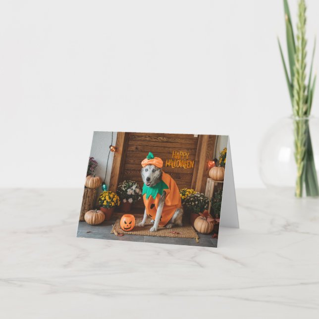 Cartão Cachorro Engraçado no Figurino de Halloween (Frente)
