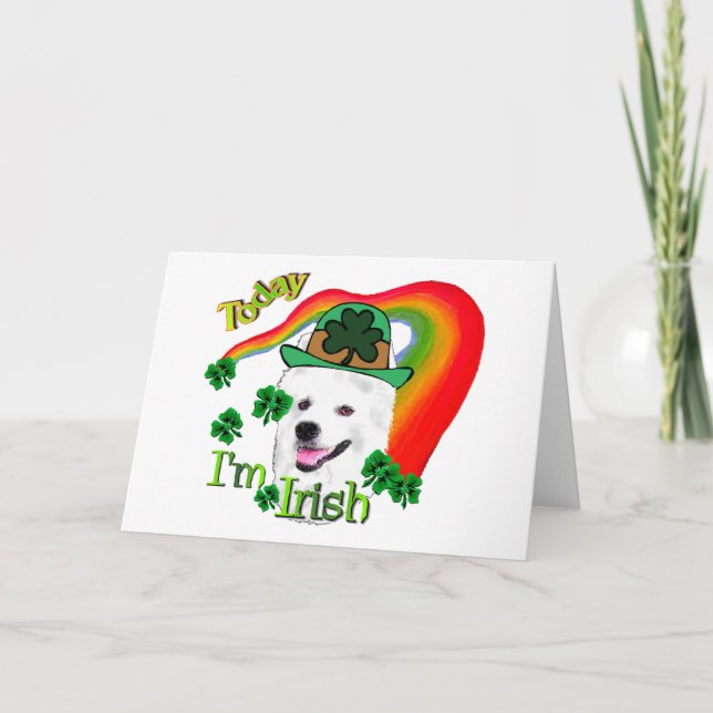Cartão Cachorro Eskimo Americano St Patricks (Frente)