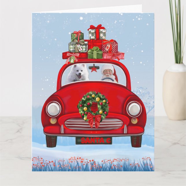 Cartão Cachorro Esquimó Americano No Carro Com Cláusula S (Frente)