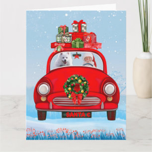 Cartão Cachorro Esquimó Americano No Carro Com Cláusula S