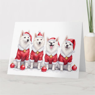 Cartão Cachorro Esquimó Americano Vestido De Natal Chapéu
