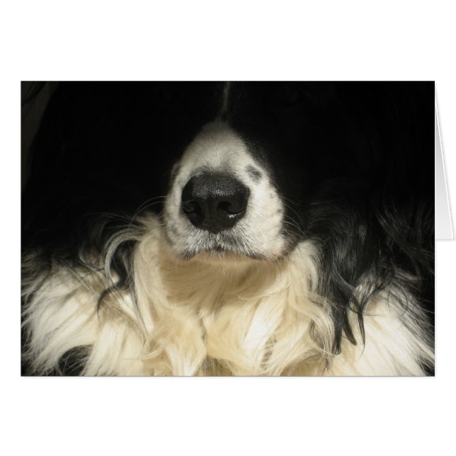 Cartão Cachorro fechado (Frente Horizontal)