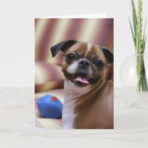 Cartão Cachorro Feliz com Brinquedo