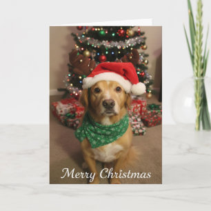 Cartão Cachorro Feliz Natal