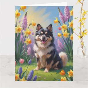 Cartão Cachorro Finnish Lapphund Pintura Flores de Primav