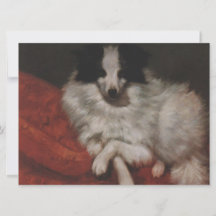 Cachorro Fluffy Sentado em uma Luz (Gustave Courbe