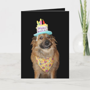 Cartão Cachorro Fofo de Aniversário Mistura de Pastor