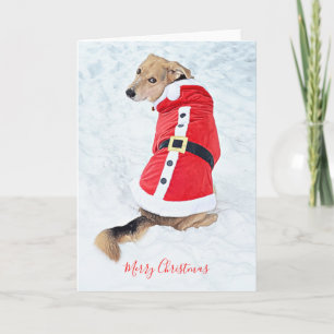 Cartão Cachorro Fofo Natal Neve Traje Vermelho do Papai N