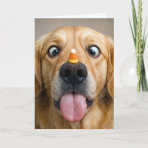 Cartão Cachorro Golden Retriever de Aniversário Com Candy