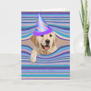 Cartão Cachorro Golden Retriever de aniversário com chapé