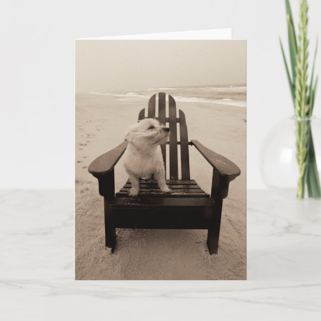 Cartão Cachorro gostando da praia (Frente)