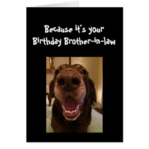 Cartão Cachorro Grande Engraçado AniversárioIrmão-de-Dire