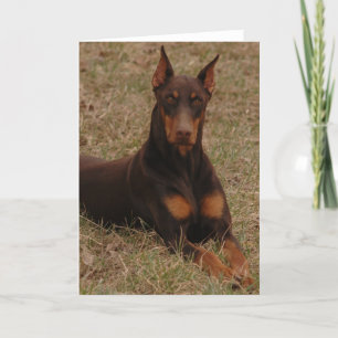 Cartão Cachorro-Guarda