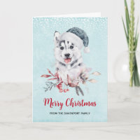 Cachorro Husky de Natal com um Chapéu de Papai Noe