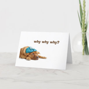 CARTÃO CACHORRO INEBRIADO CELEBROU SEU ANIVERSÁRIO