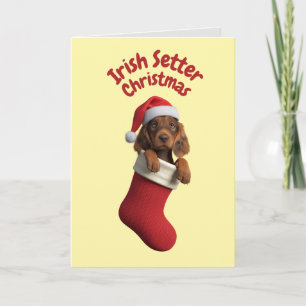 Cartão Cachorro Irlandês Setter Natal Fofo