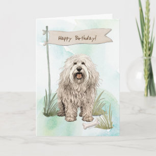 Cartão Cachorro Komondor Criado Ao Exterior Sob Sinal De 