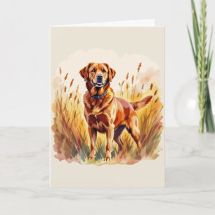Cartão Cachorro Labrador Retriever Fox Red