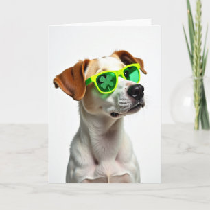 Cartão Cachorro Legal Shamrock